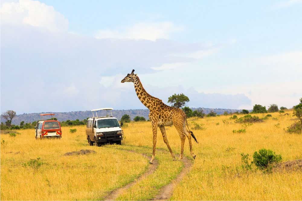 Top tourist destinations in Africa